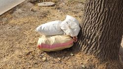 Житель Кызыл-Аскера жалуется на мусор у дороги. Фото Житель Кызыл-Аскера жалуется на мусор у дороги. Фото