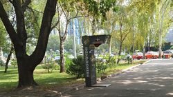 Законно ли возле ЦУМа стоят силомеры? Фото горожанина