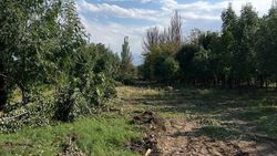 На территории парка Ататюрка сделают велодорожку и беговую дорожку, - мэрия