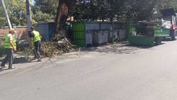 Зачем на ул.Дзержинского убирают мусорную площадку? Видео горожанина