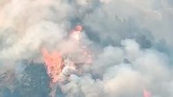 Пожар в горах Панфиловского района. Видео жителя