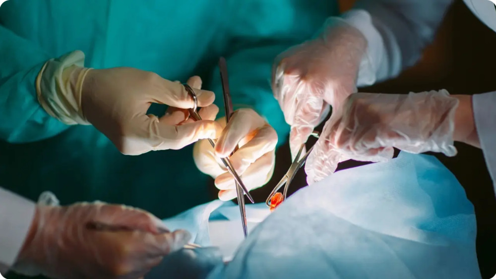 Иллюстративное фото