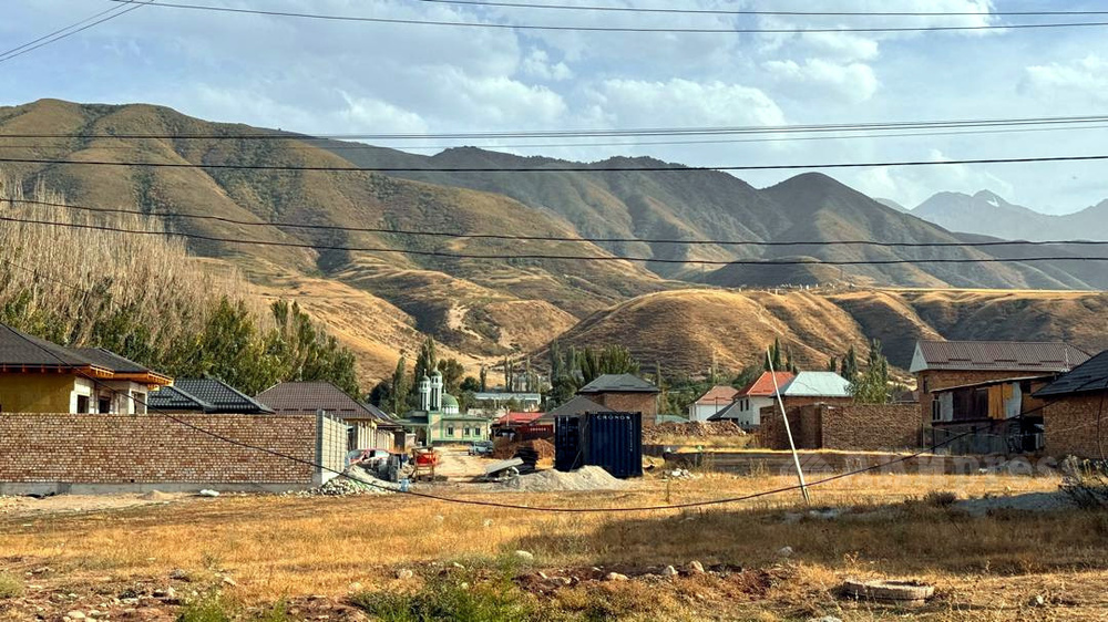 Иллюстративное фото