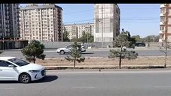 Горожанин просит посадить «нормальные деревья» вдоль Южной магистрали