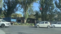 На Льва Толстого вырубают деревья. Фото горожанки