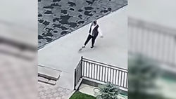 В Бишкеке женщина пинками вышвырнула двух котят со двора многоэтажки. Видео