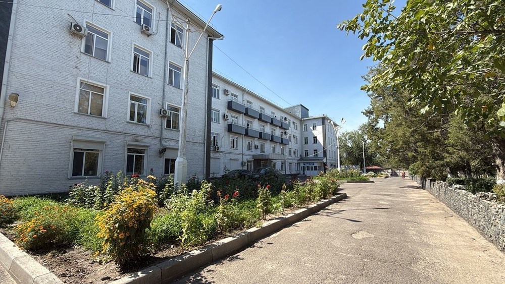 Иллюстративное фото