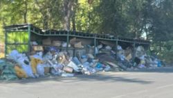 Мусорку по Щербакова демонтируют, - мэрия