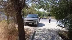 Горожанка просит сделать остановку на Алматинке. Видео