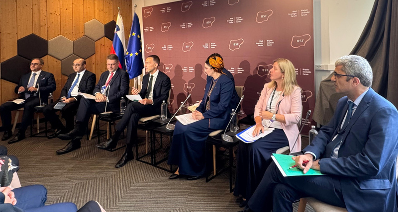 Delegation from Turkmenistan attends international forum in Slovenia