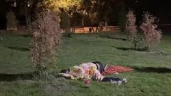 Возле ЗАГСа бездомные спят на лужайке. Видео горожанки
