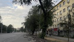 «Бишкекзеленстрой» на Фучика вырубает только сухие и аварийные деревья, - мэрия