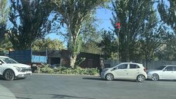 «Бишкекзеленстрой» рассказал, почему провели обрезку деревьев на Льва Толстого