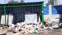 Горожанин просит привести в порядок мусорку на Мичурина. Видео