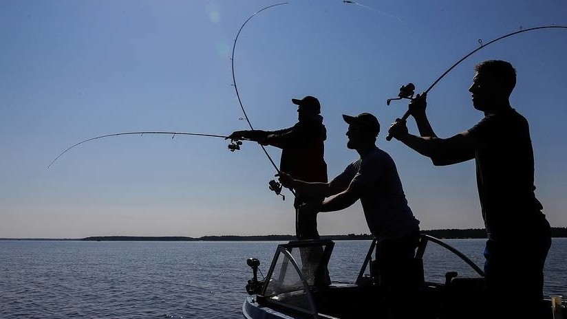 Иллюстративное фото