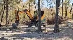 Горожанин просит организовать временный полив деревьев в Ботсаду на время ремонтных работ. Видео