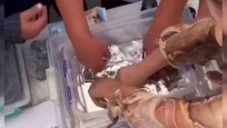 На праздновании Дня независимости в Жалал-Абаде посетителям выставки позволили трогать жидкую ртуть