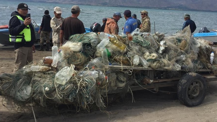 Иллюстрациялык сүрөт