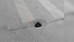 На Манаса-Васильева проваливается асфальт, - горожанин