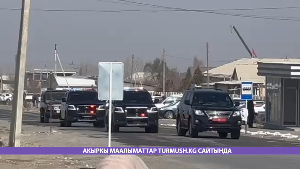 Иллюстрациялык сүрөт