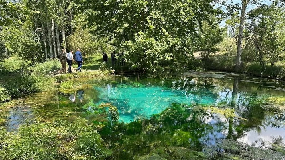 Родник Чечме