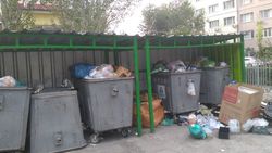 В мкр Улан проблемы с вывозом мусора. Фото жителя