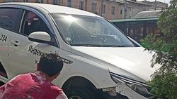 Машина «Яндекс Go» вылетела с дороги и снесла несколько туй. Видео