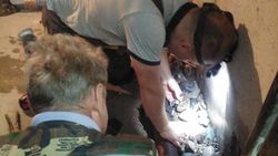 В 6 мкр в подвале прорвало трубу. Видео горожанки