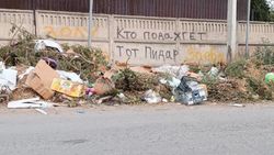 Куча мусора возле баков в Кызыл-Аскере. Фото