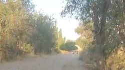 Состояние дороги в Ысык-Атинском районе. Видео жителя