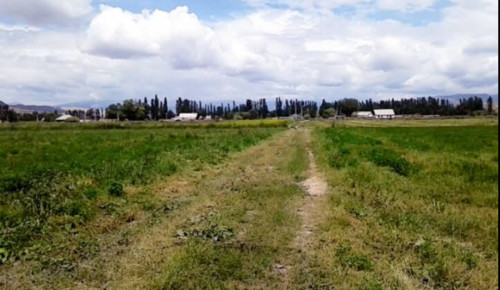 сборка автобусов