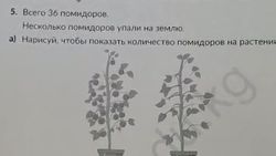 Родитель жалуется на учебное пособие для вторых классов. Видео