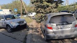 Муниципальная инспекция ищет машины, который были припаркованы в зеленой зоне на Буденного. Фото Муниципальная инспекция ищет машины, который были припаркованы в зеленой зоне на Буденного. Фото