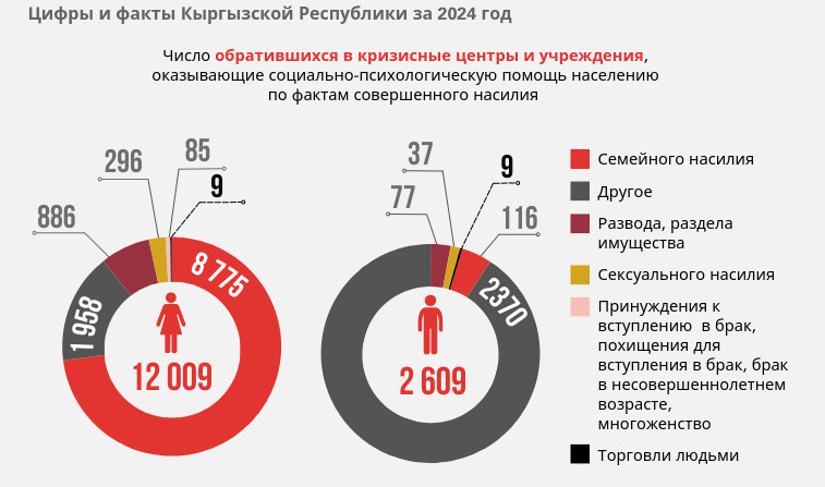 8,700 women in Kyrgyzstan seek help due to domestic violence in 2024