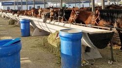 Как выглядит новый скотный рынок в Бишкеке. Фото Как выглядит новый скотный рынок в Бишкеке. Фото