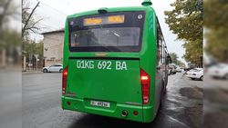 Водитель автобуса №30 в момент выхода пассажира начал движение, - горожанка