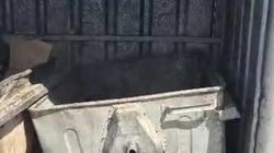 «Тазалык» потушил и отремонтировал мусорный бак на Айтматова «Тазалык» потушил и отремонтировал мусорный бак на Айтматова