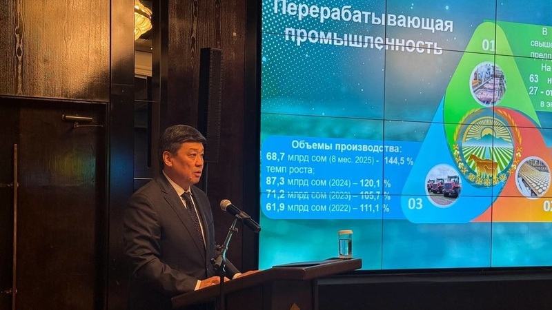 Kyrgyzstan to launch 36 more processing enterprises by year-end