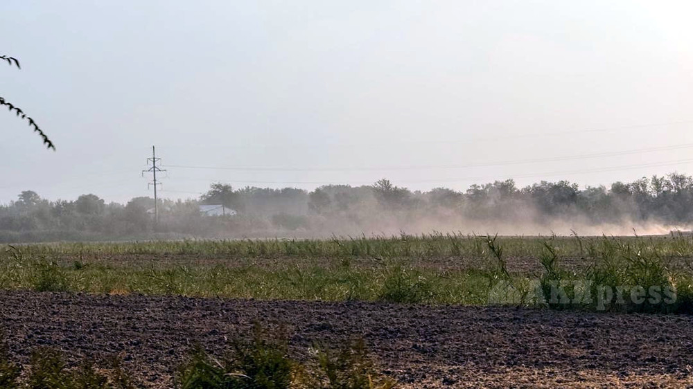 Иллюстрациялык сүрөт