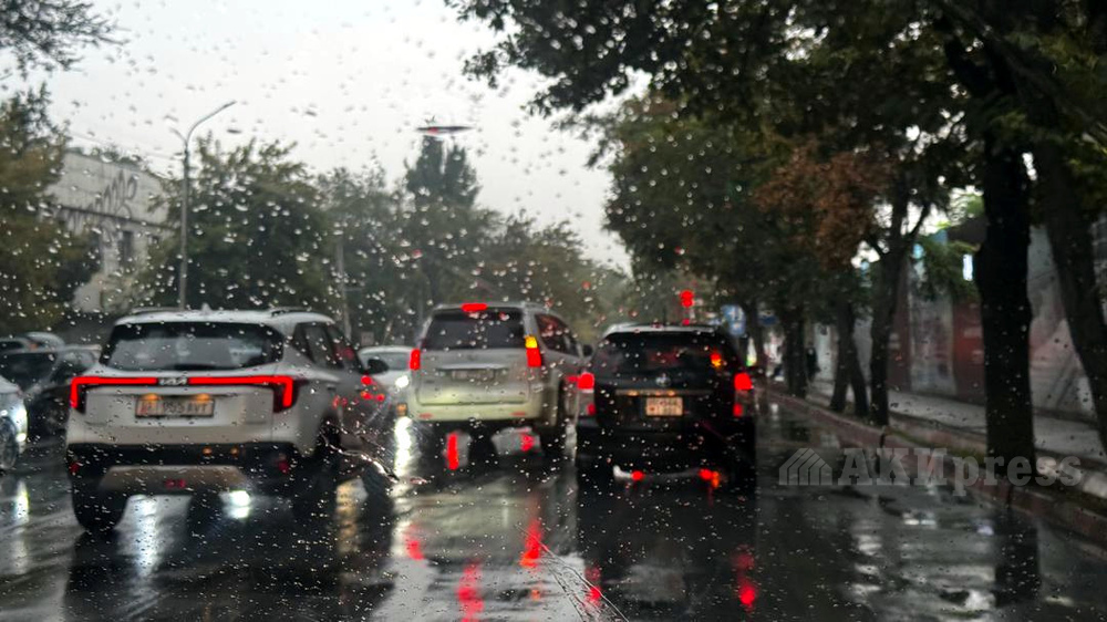 Иллюстративное фото