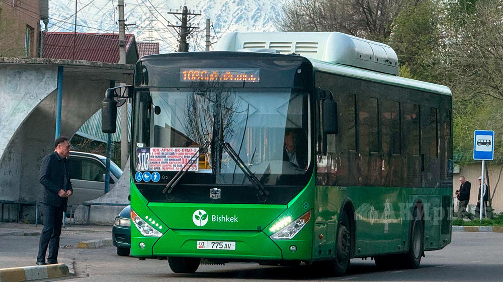 Иллюстративное фото