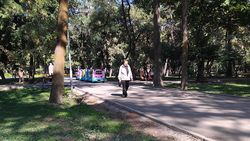 Можно ли в сквере Тоголок Молдо ездить паровозикам? - горожанин