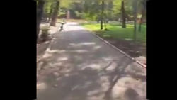 В сквере Тоголок Молдо паровозиков не зафиксировано, участок чист, - мэрия В сквере Тоголок Молдо паровозиков не зафиксировано, участок чист, - мэрия