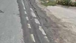 Утечку на Репина все еще не устранили. Видео горожанина