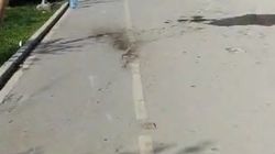 Возле перекрестка Масалиева-Тыналиева водитель снес березы, скамейку и оказался на велодорожке. Ответ мэрии Возле перекрестка Масалиева-Тыналиева водитель снес березы, скамейку и оказался на велодорожке. Ответ мэрии