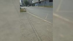 На маршруте №8т работают 9 автобусов, - мэрия На маршруте №8т работают 9 автобусов, - мэрия