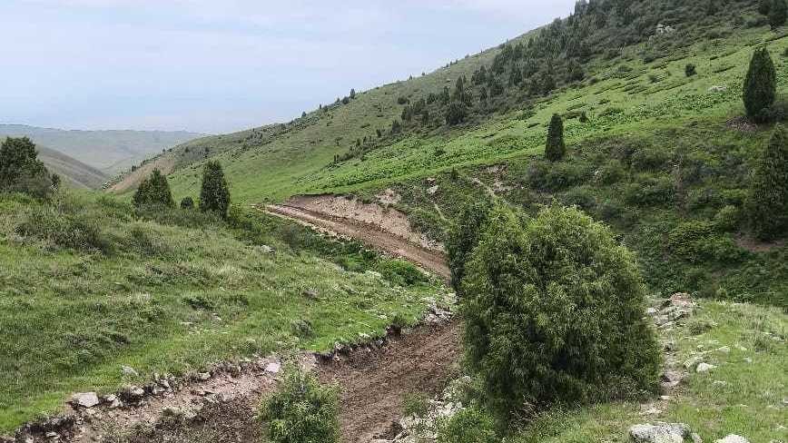 Иллюстрациялык сүрөт