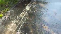 На Фучика вода из арыка топит тротуар. Видео На Фучика вода из арыка топит тротуар. Видео