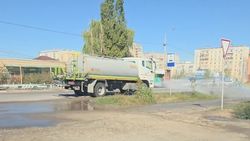 Горожанин показал, как на Иманкулова поливают саженцы. Видео Горожанин показал, как на Иманкулова поливают саженцы. Видео