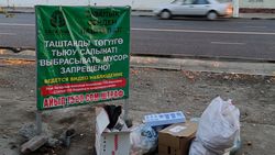 Кучи мусор на Льва Толстого рядом с баннерами «Выбрасывать мусор запрещено». Фото